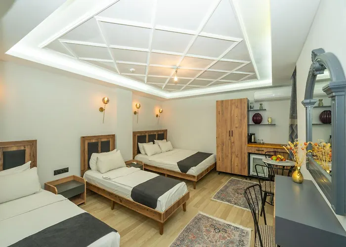 酒店 Le Valeria Deluxe 伊斯坦布尔